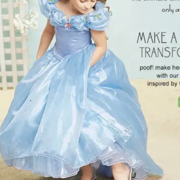 Disney Other - CHASING FIREFLIES DISNEY CINDERELLA COSTUME DRESS